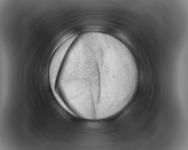 X0000086241378200704261907