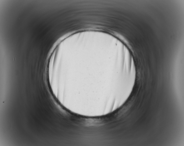 X0000086241379200704261907