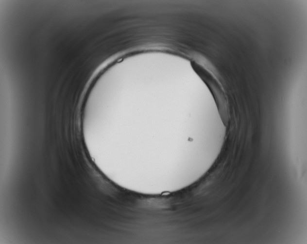 X0000086241380200704261907