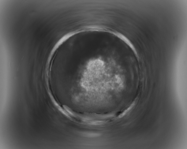 X0000086241381200704261907