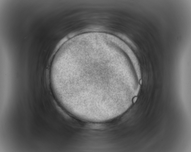 X0000086241382200704261907