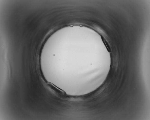 X0000086241384200704261907