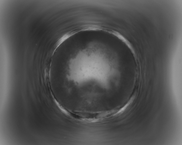 X0000086241385200704261907
