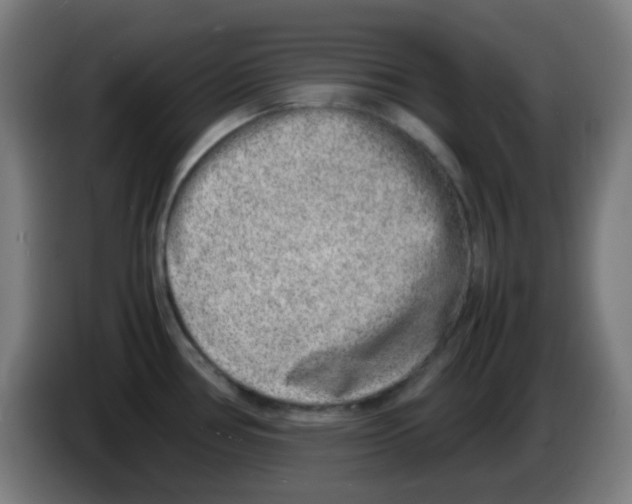X0000086241386200704261907