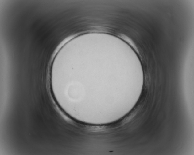 X0000086241387200704261907