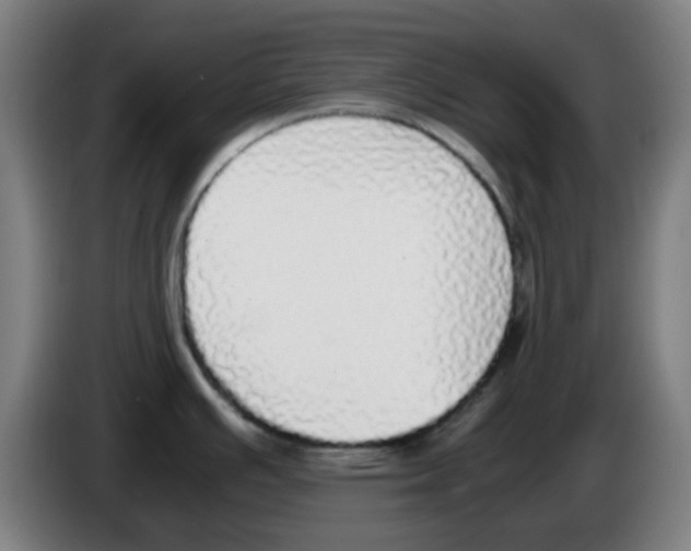 X0000086241391200704261907
