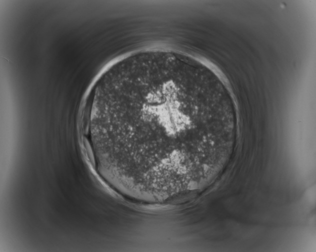 X0000086241392200704261907