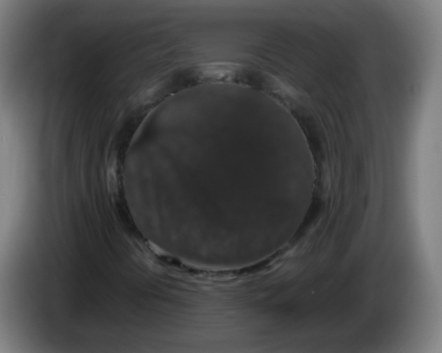 X0000086241394200704261907
