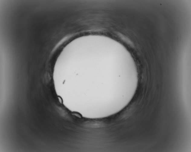 X0000086241400200704261907