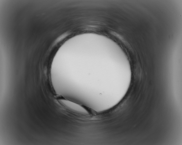 X0000086241402200704261907