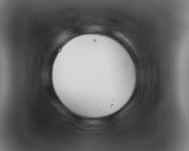 X0000086241403200704261907