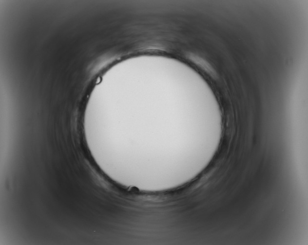 X0000086241404200704261907