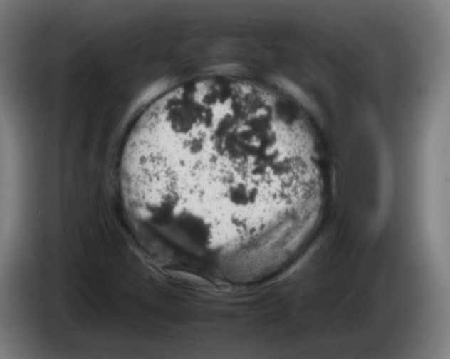 X0000086241405200704261907