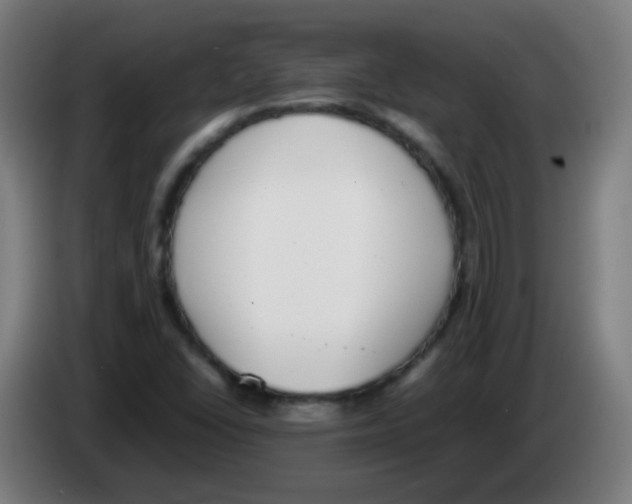 X0000086241406200704261907