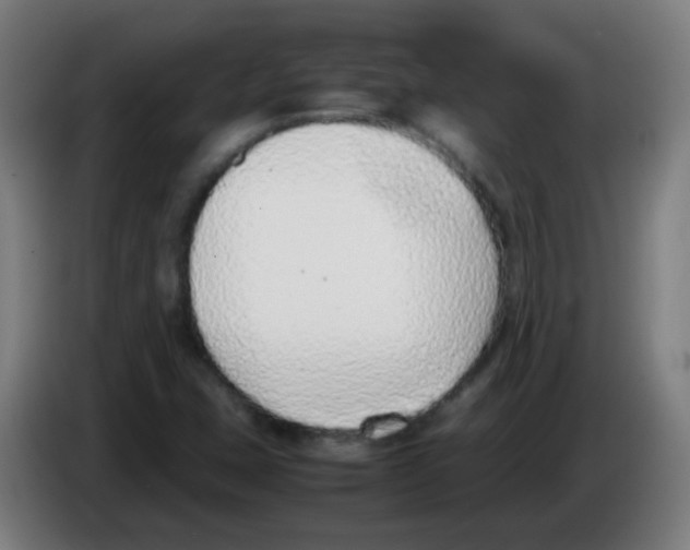 X0000086241407200704261907