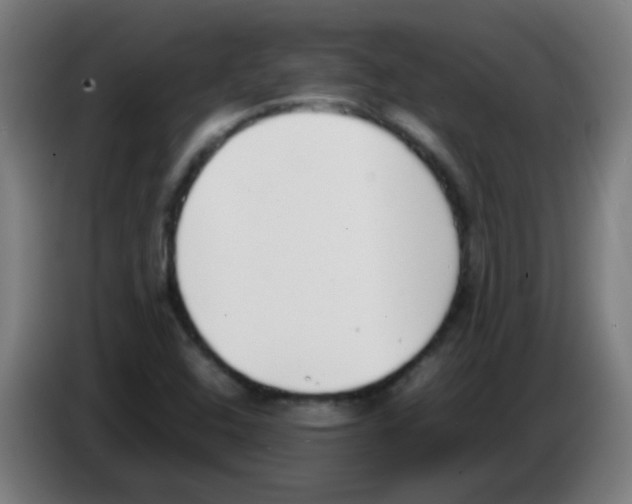 X0000086241408200704261907
