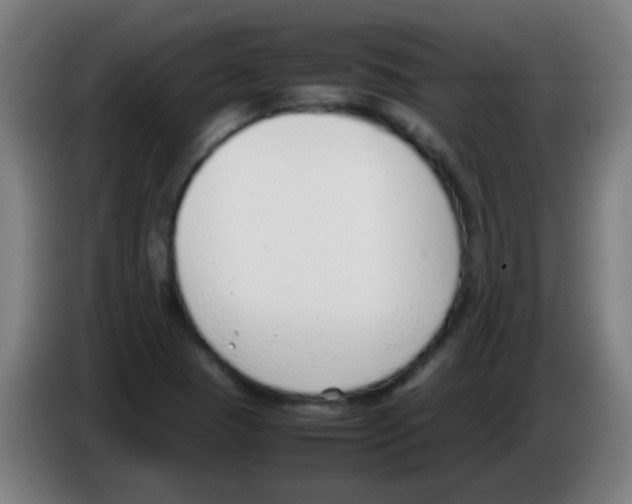 X0000086241409200704261907