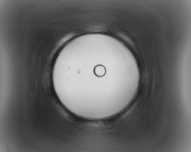 X0000086241410200704261907