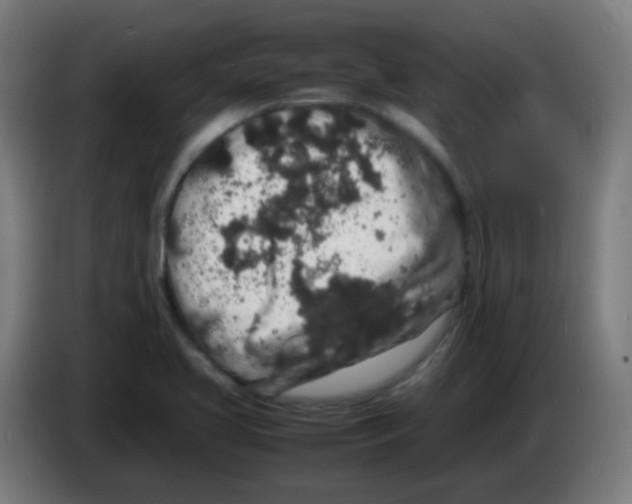 X0000086241413200704261907