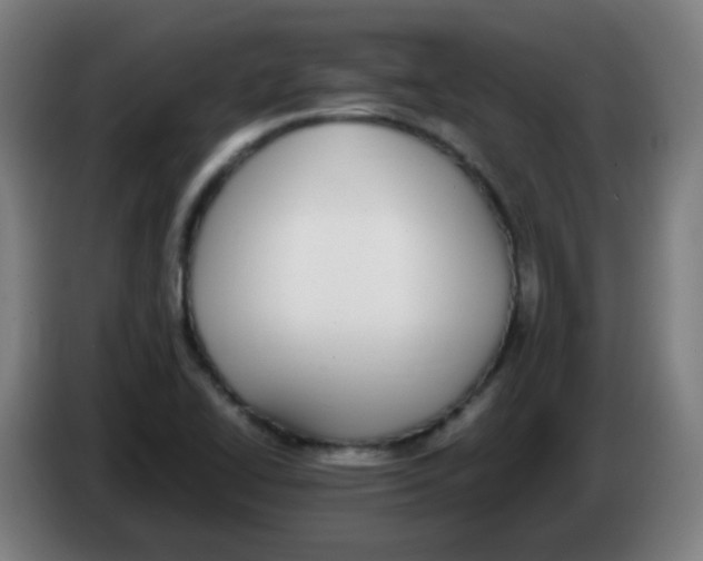 X0000086241414200704261907