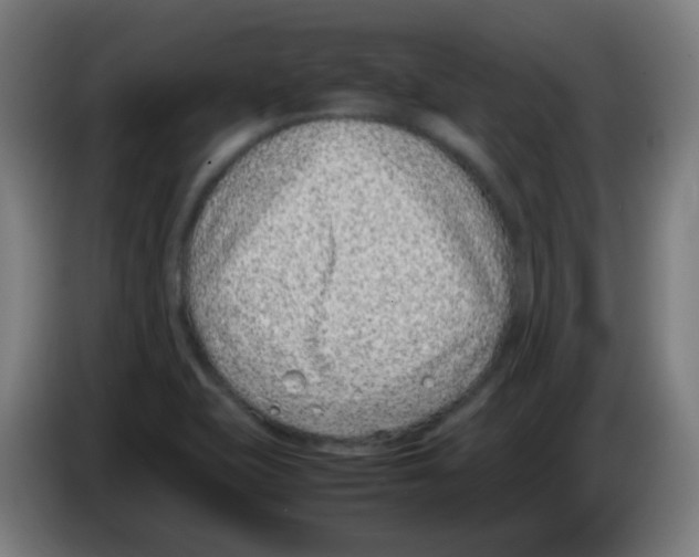 X0000086241415200704261907