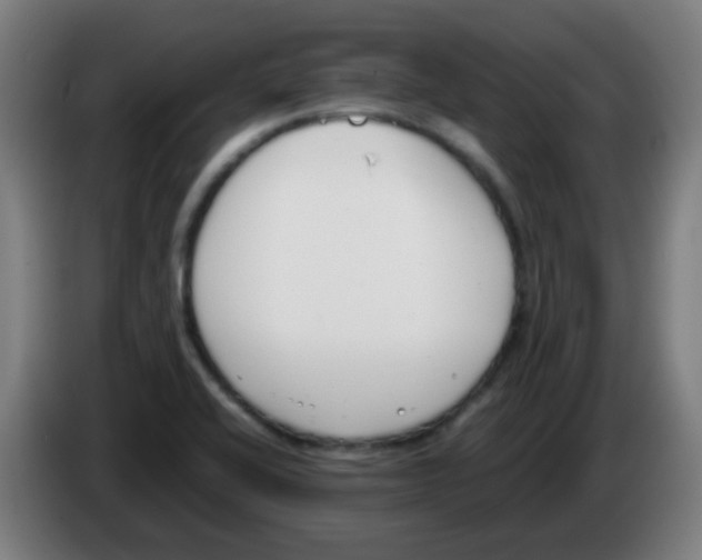 X0000086241416200704261907