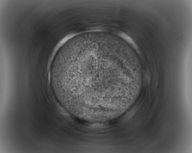 X0000086241419200704261907