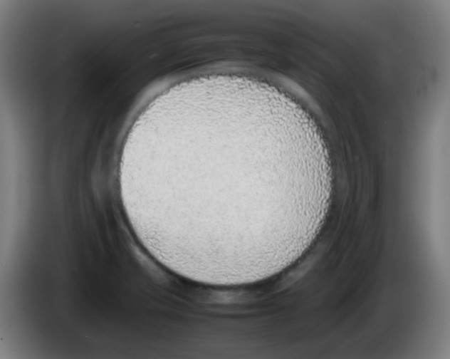 X0000086241421200704261907