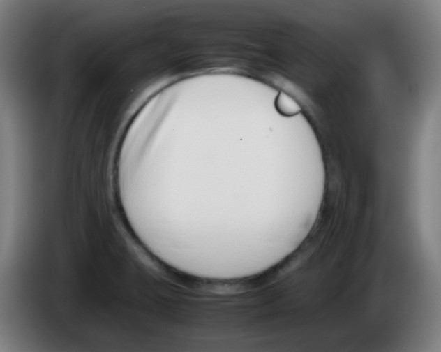 X0000086241423200704261907