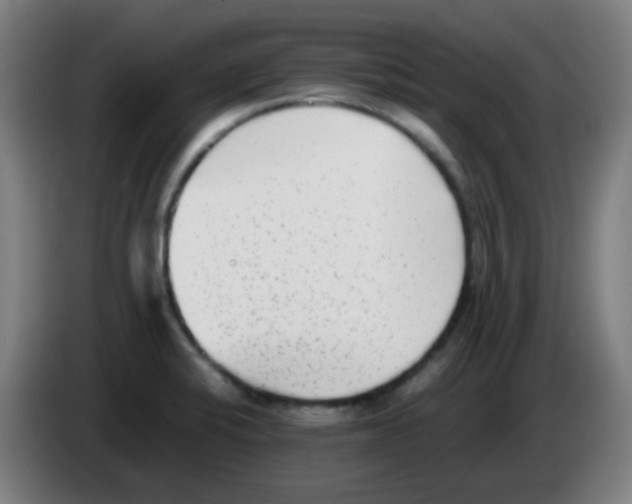 X0000086241424200704261907