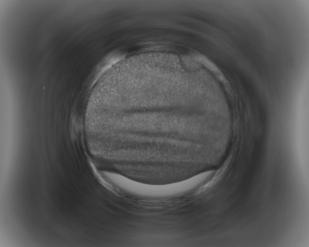 X0000086241425200704261907