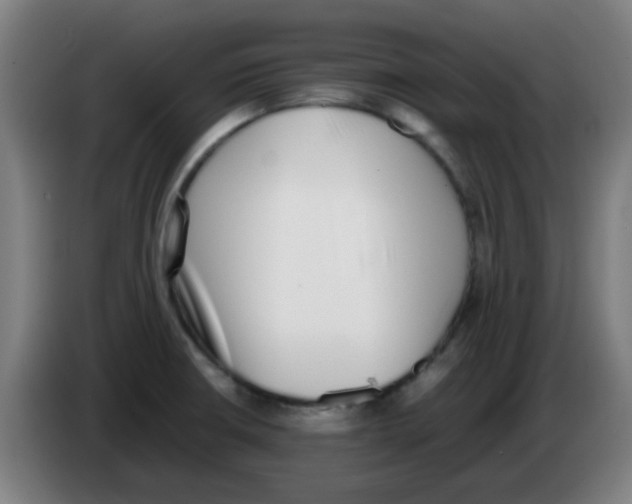 X0000086241426200704261907