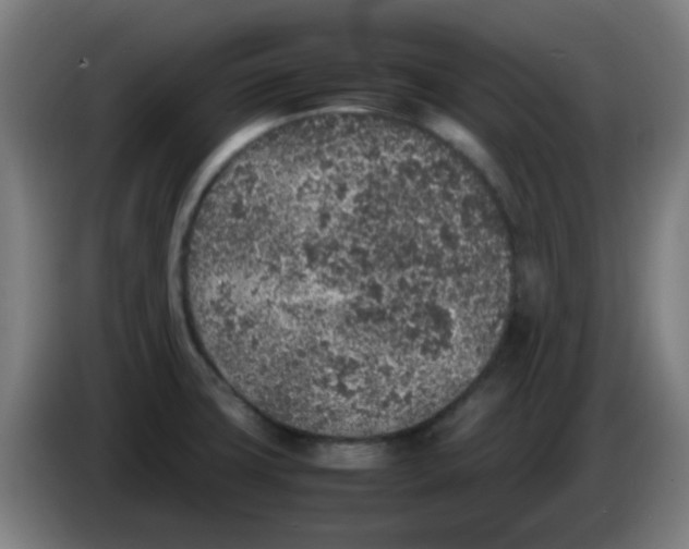 X0000086241427200704261907