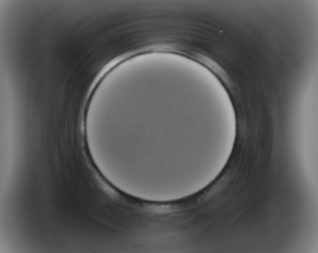 X0000086241428200704261907