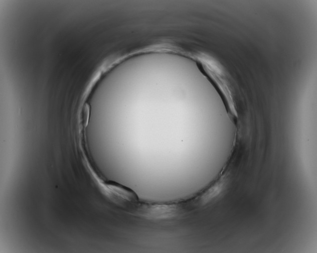 X0000086241430200704261907