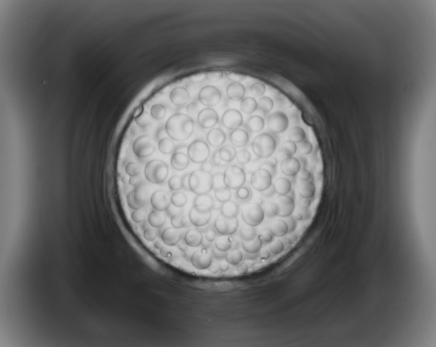 X0000086241432200704261907