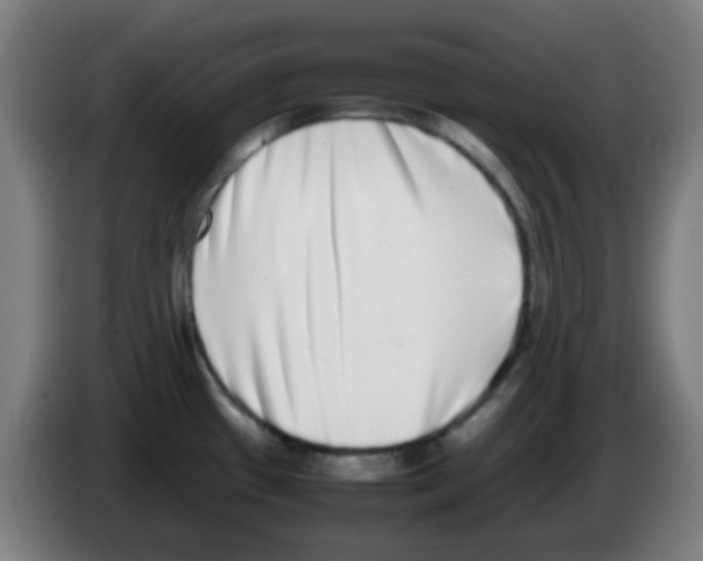 X0000086241433200704261907