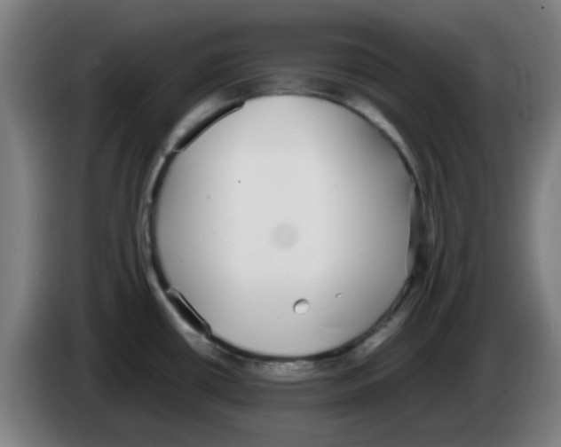 X0000086241434200704261907