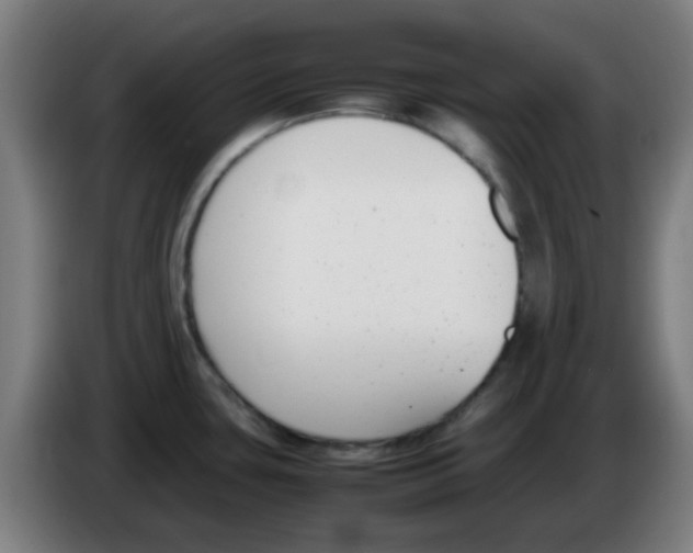 X0000086241435200704261907