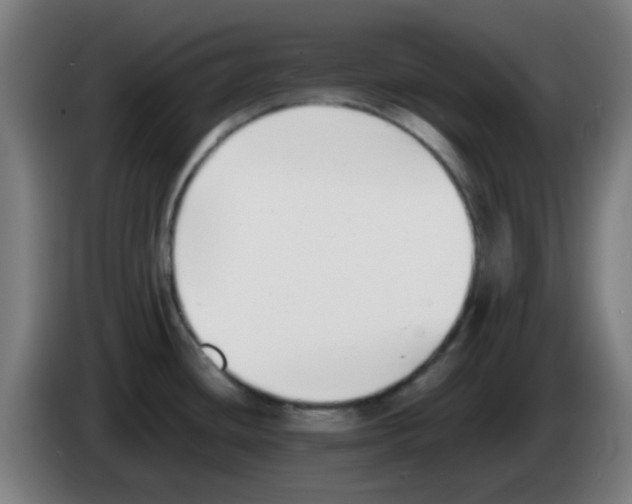 X0000086241436200704261907