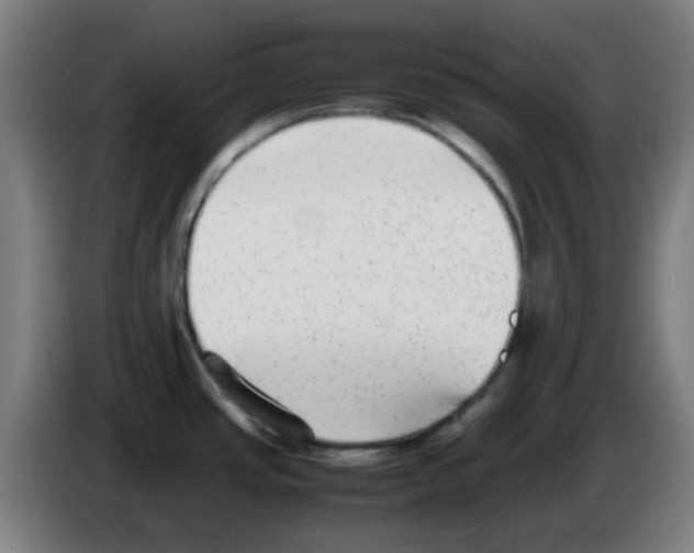 X0000086241437200704261907