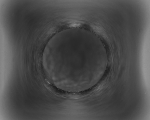 X0000086241441200704261907