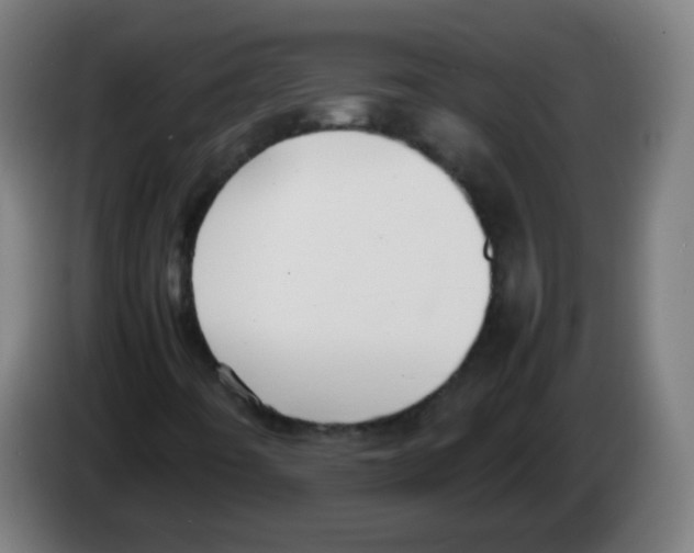 X0000086241442200704261907