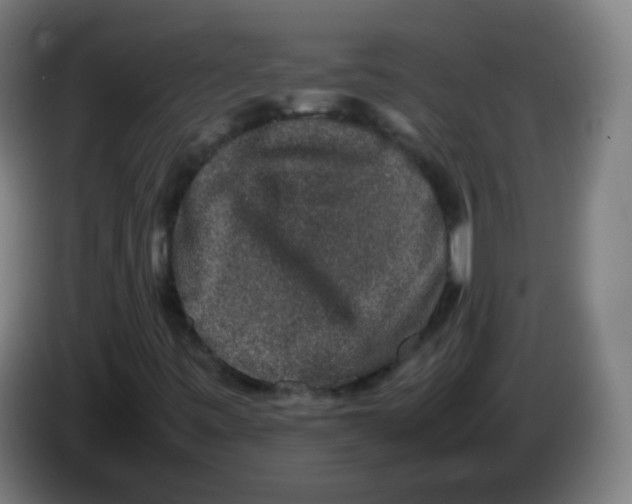 X0000086241443200704261907