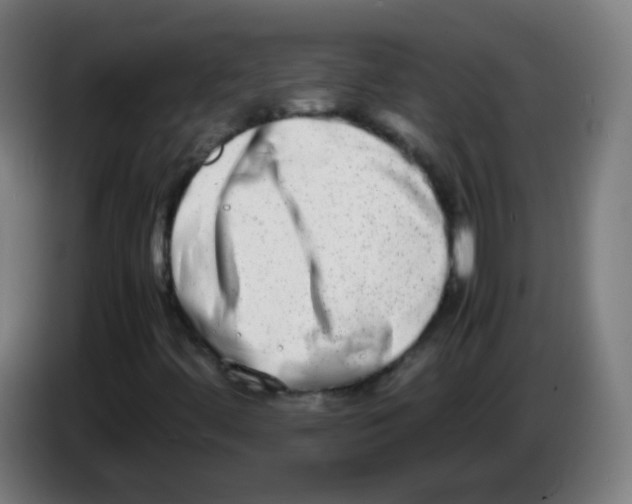X0000086241444200704261907