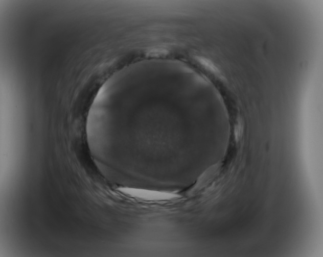 X0000086241445200704261907