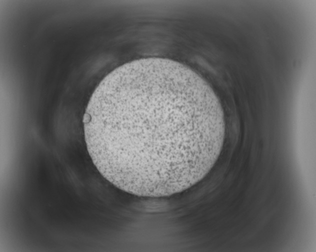X0000086241446200704261906