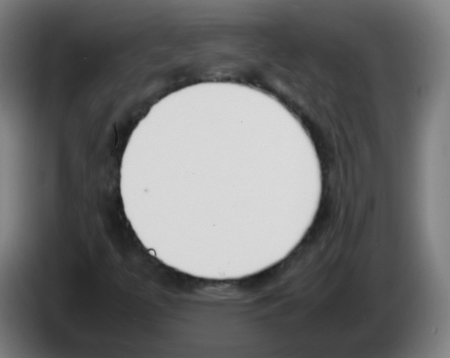 X0000086241447200704261906