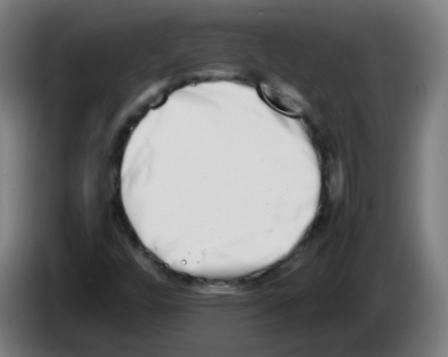 X0000086241448200704261906