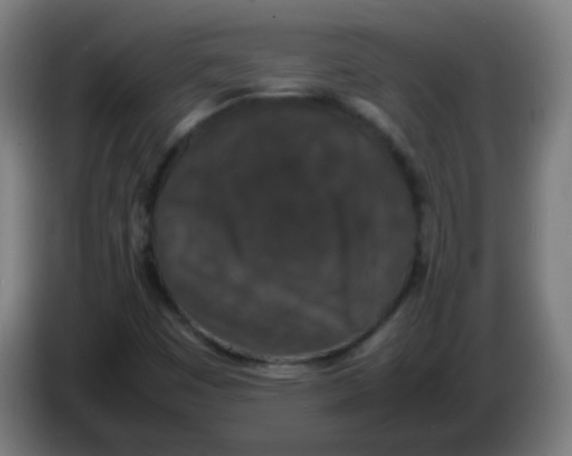 X0000086241449200704261906